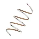 Ledvance Strisce LED Performance 60W 7020lm 24v - 965 Luce Del Giorno | 5M/8mm - Miglior Resa Cromatica